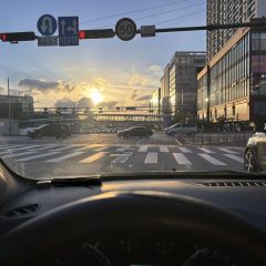 야간 운전에 빛 사용 안했어요