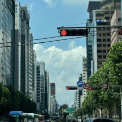 새로운 직장에서 운전 필수