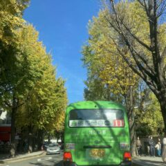 구리운전연수 장롱면허 탈출기